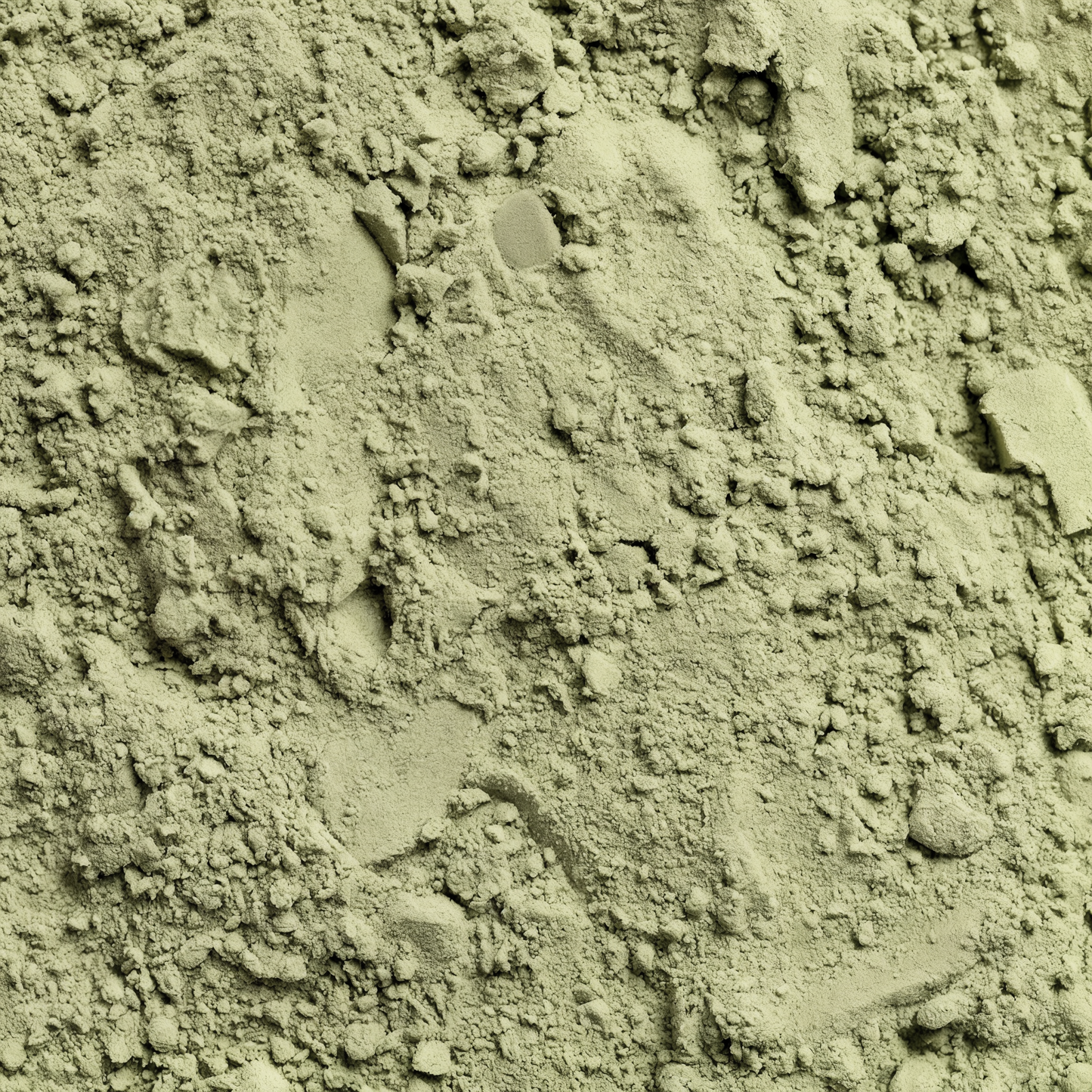 Daily Greens Superfood Powder
